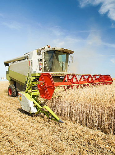 Combine harvester