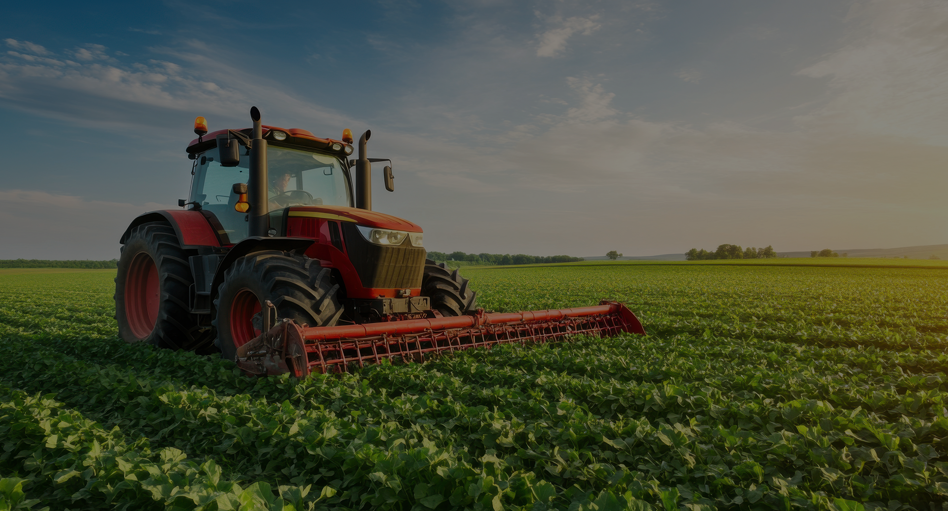 The many facets of the agricultural world